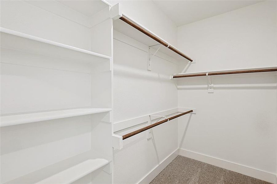 Walk in closet featuring carpet