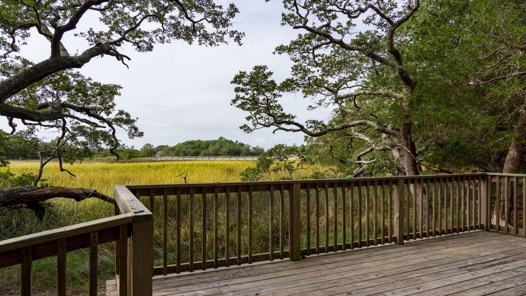 Front exterior of a new home in The Forest at Black Bear, Loris, SC, highlighting curb appeal (Image 19).