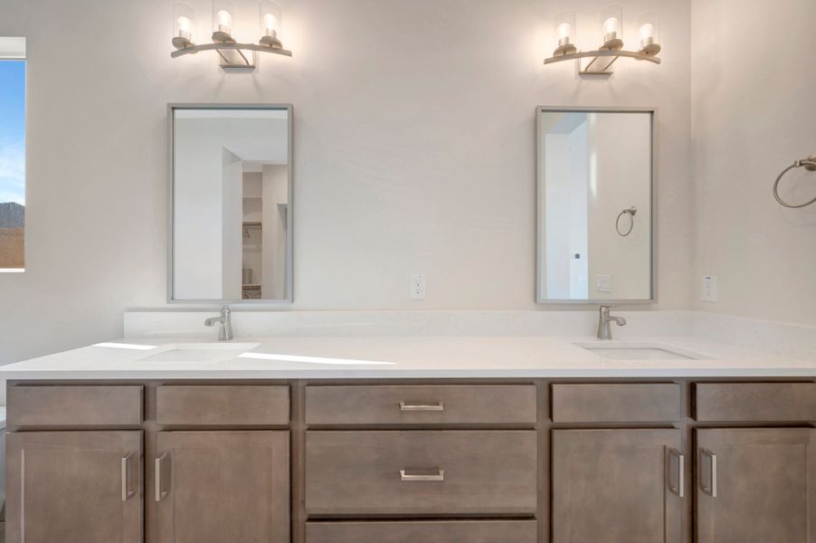 Owner's Bath