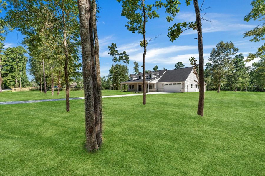 Natural landscape and outdoor views near  in New Waverly (Image 40).