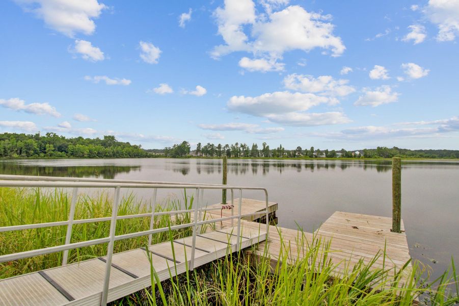 Natural landscape and outdoor views near  in Moncks Corner (Image 72).