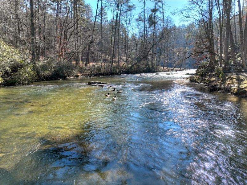Natural landscape and outdoor views near  in Ellijay (Image 55).