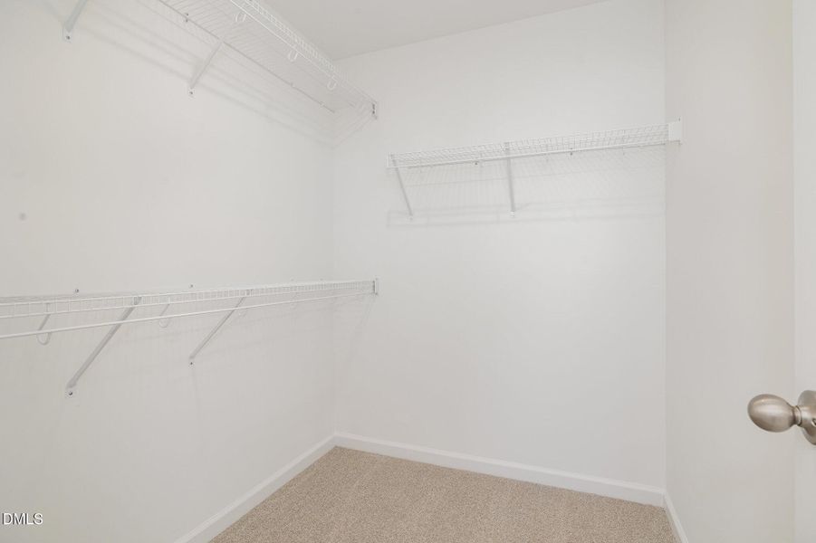 021_img_4391-edit_595