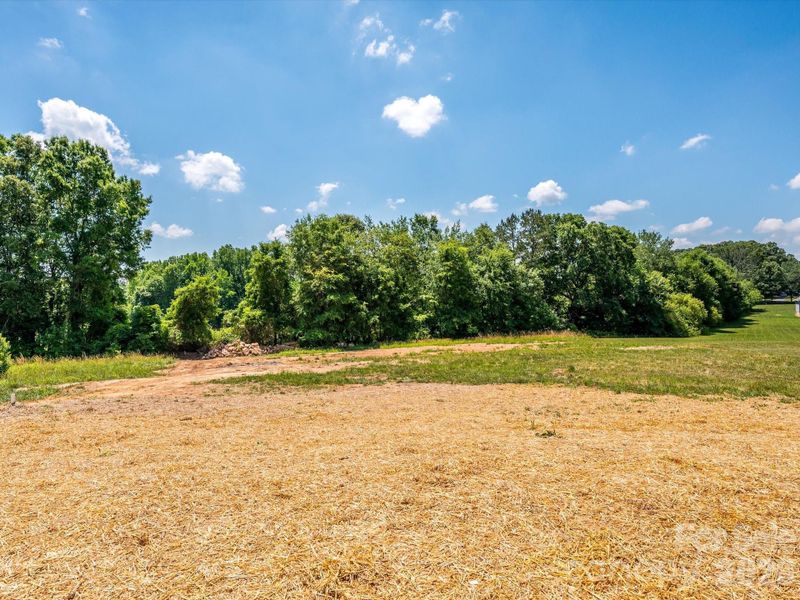 Natural landscape and outdoor views near in Bessemer City (Image 36). Natural landscape and outdoor views near in Bessemer City (Image 36).