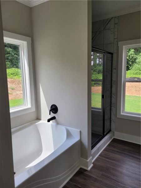 Furnished interior view inside a new home in , Dallas (Image 7). Furnished interior view inside a new home in , Dallas (Image 7).