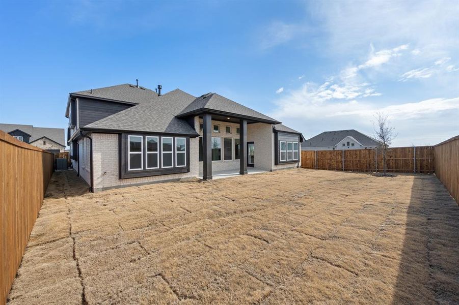 1013 Butterfly- Back-1