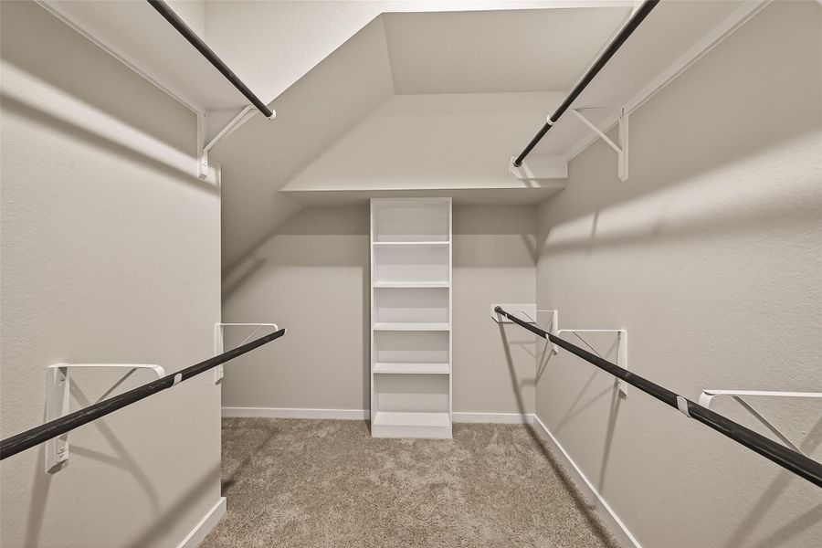 Inside the walk-in closet of the main bedroom, built-in hanging rods, a shelf, and carpeted flooring provide organized storage and a comfortable feel.