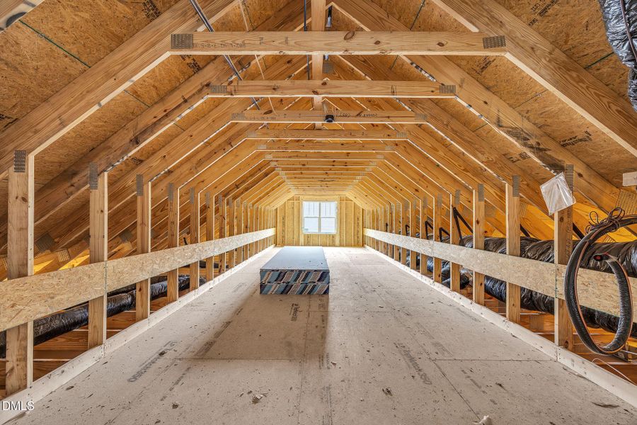 10-web-or-mls-9L1A7310