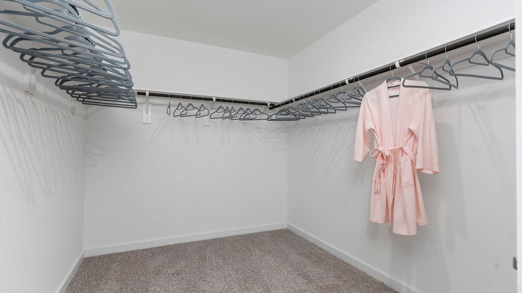 Spacious, unfurnished interior of a new home in Emberly, Beasley (Image 23).