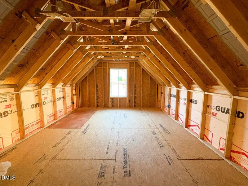 Photo Jan 19 2026, 9 59 26 AM (Medium)