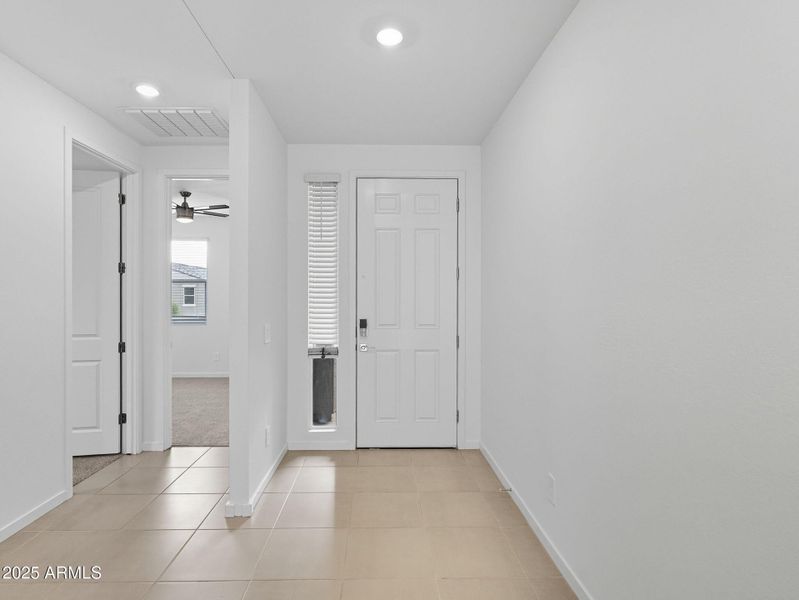 5-web-or-mls-Bee-5 5-web-or-mls-Bee-5