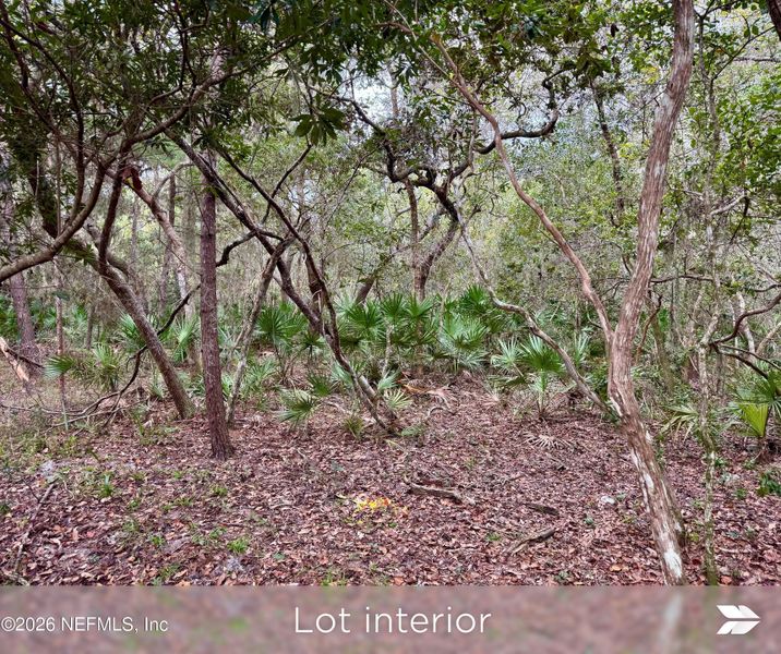 Natural landscape and outdoor views near  in St. Augustine (Image 32).