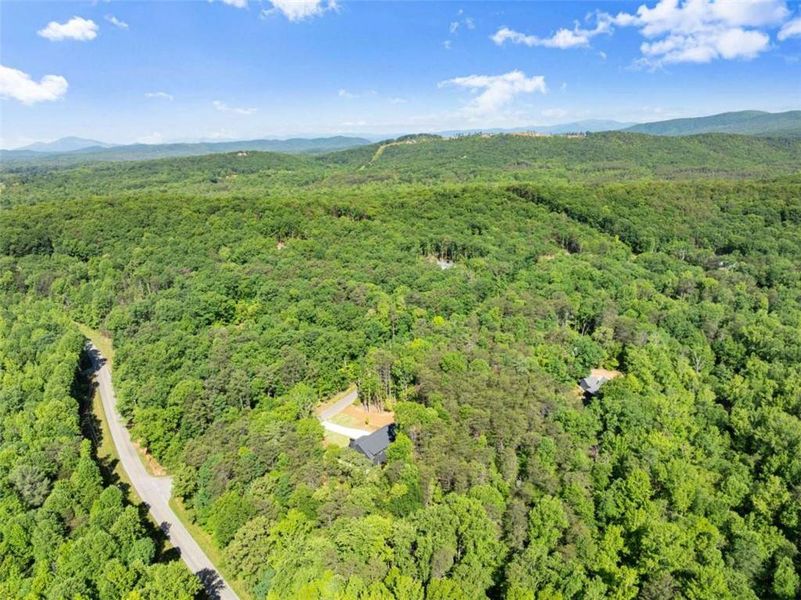 Natural landscape and outdoor views near  in Clarkesville (Image 51).