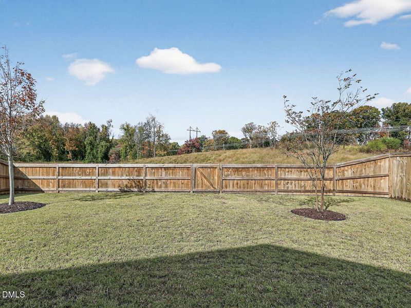 034-1280x960-back-yard 034-1280x960-back-yard