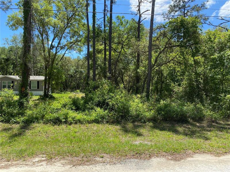 Natural landscape and outdoor views near  in Webster (Image 24).