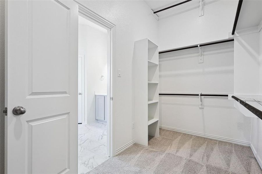 Spacious closet featuring light carpet