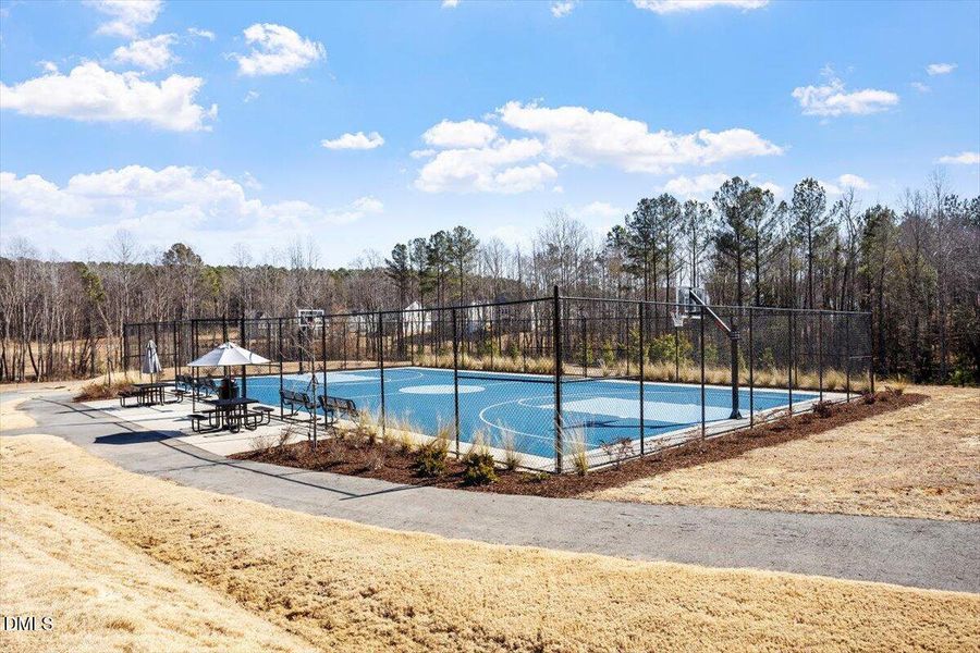 44-Edge of Auburn NA_08