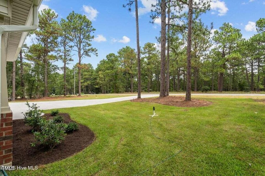 20250812173213350380000000-o