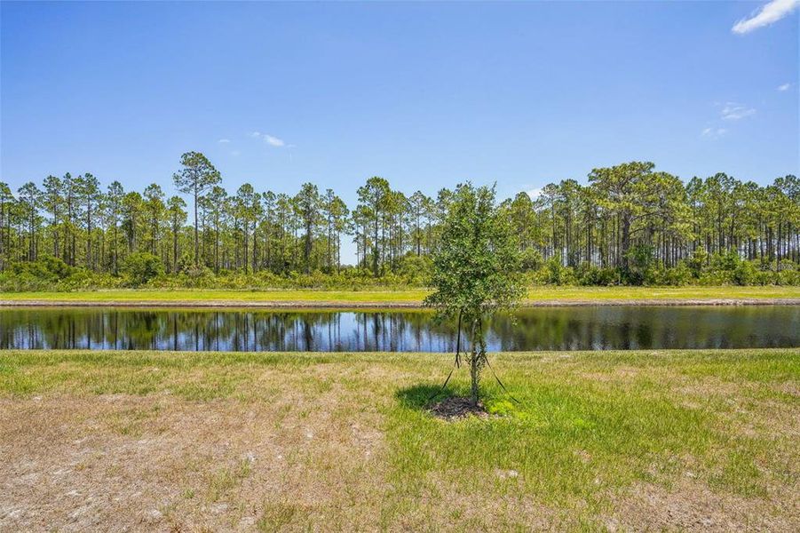 Image 30 of a home in Lake Deer Estates - Signature Series. Image 30 of a home in Lake Deer Estates - Signature Series.