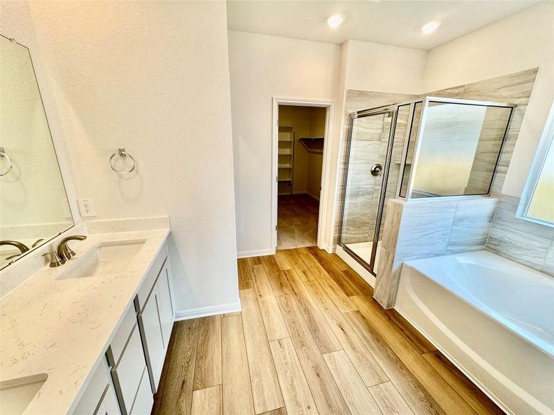 Full bathroom featuring a shower stall, double vanity, a bath, a walk in closet, and light wood-style floors