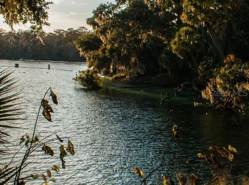 Natural landscape and outdoor views near Deland in Deland (Image 12).