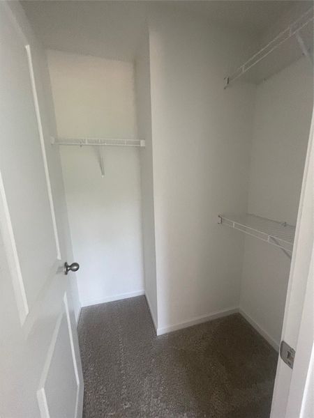 Spacious, unfurnished interior of a new home in Springwood Grove, Central (Image 26). Spacious, unfurnished interior of a new home in Springwood Grove, Central (Image 26).