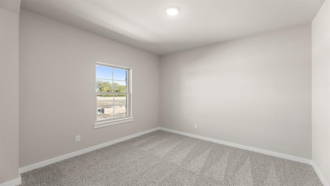 26. 1421 Tipperary - Bed 4