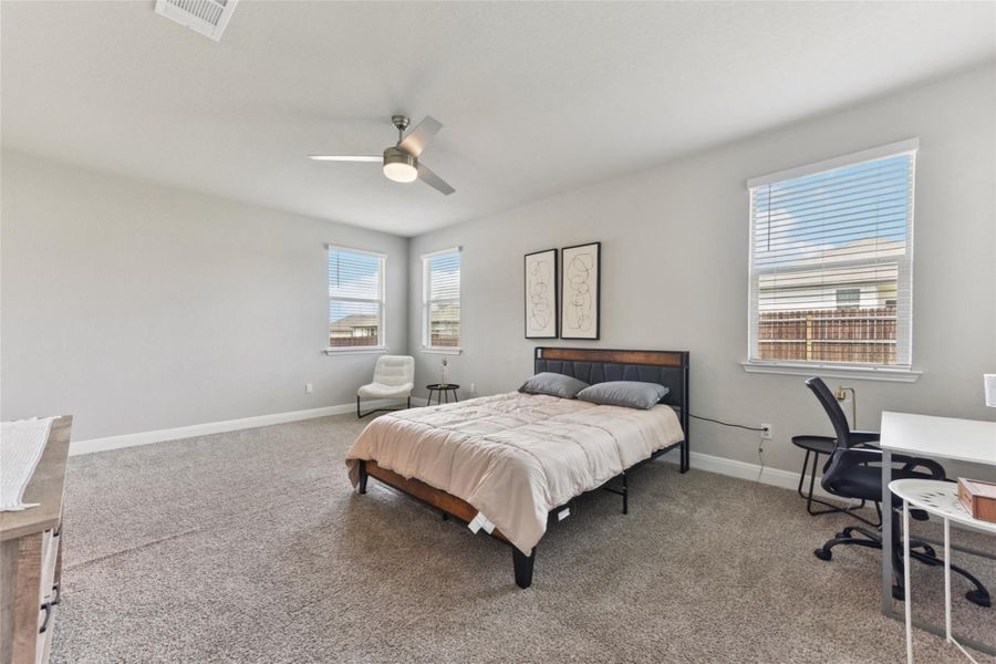 Carpeted bedroom featuring baseboards and ceiling fan Carpeted bedroom featuring baseboards and ceiling fan