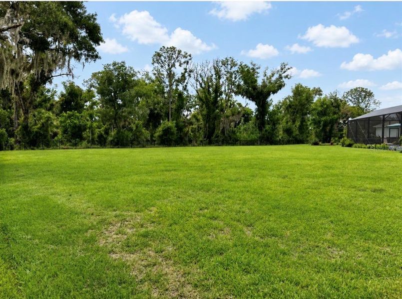 Natural landscape and outdoor views near Windwater in Parrish (Image 45). Natural landscape and outdoor views near Windwater in Parrish (Image 45).