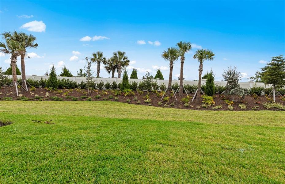 Natural landscape and outdoor views near Talon Preserve on Palmer Ranch in Nokomis (Image 30).
