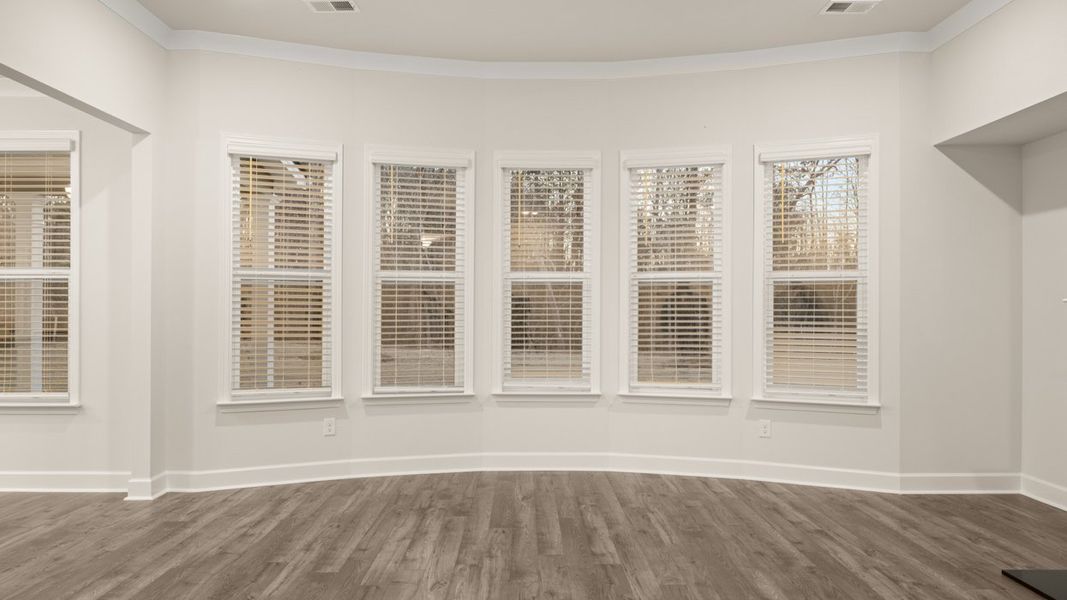 Spacious, unfurnished interior of a new home in Evergreen Crossing, Locust Grove (Image 26).
