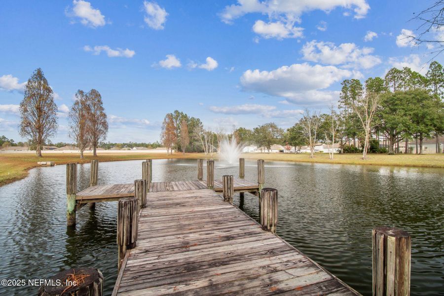 Natural landscape and outdoor views near Amelia Walk in Fernandina Beach (Image 48).
