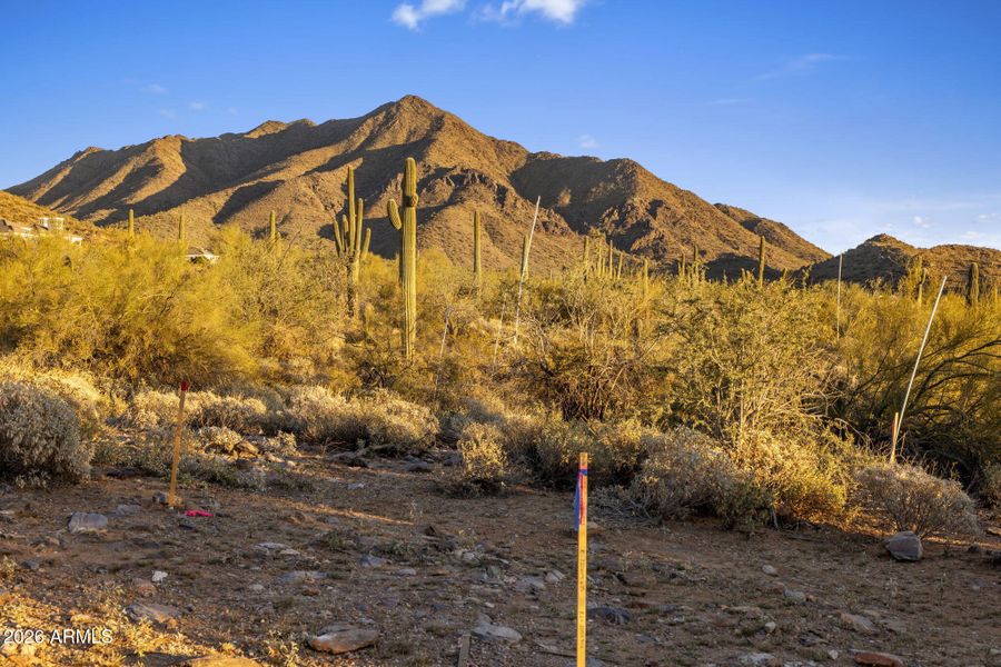 Front Door View Alignment