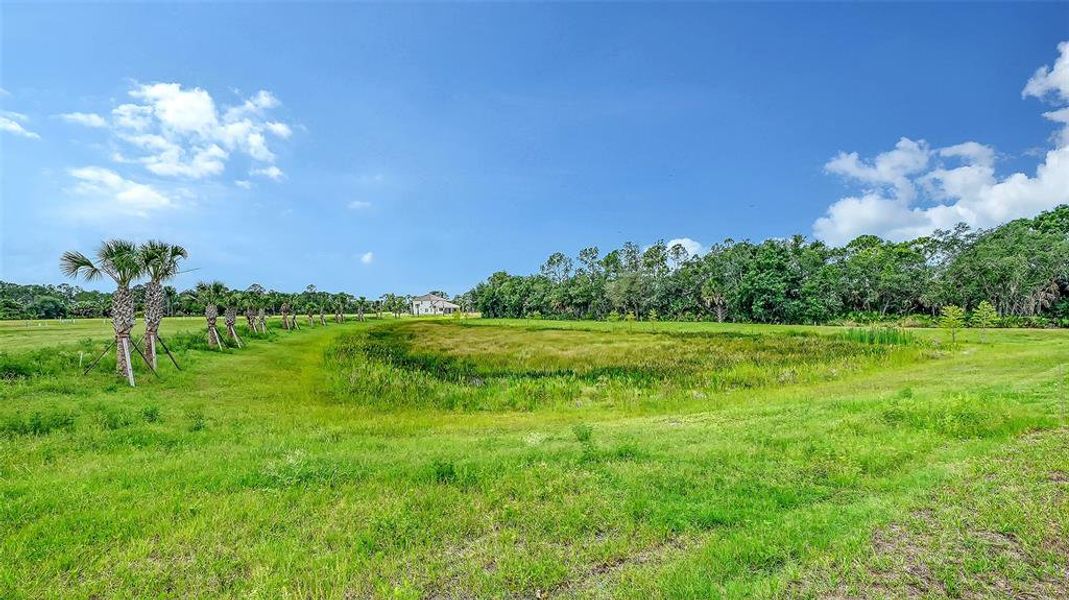 Natural landscape and outdoor views near Grand Park in Sarasota (Image 37). Natural landscape and outdoor views near Grand Park in Sarasota (Image 37).