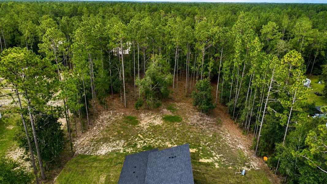 Natural landscape and outdoor views near  in Ocala (Image 27).