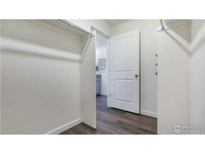 Spacious, unfurnished interior of a new home in Fossil Creek Ranch, Windsor (Image 17).