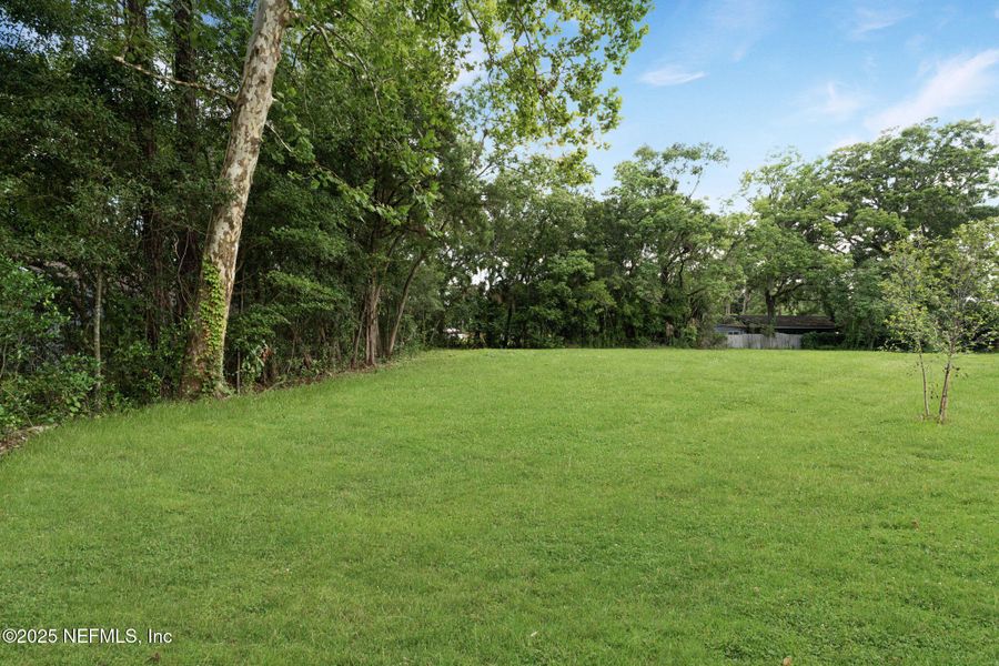 Natural landscape and outdoor views near  in Jacksonville (Image 28).