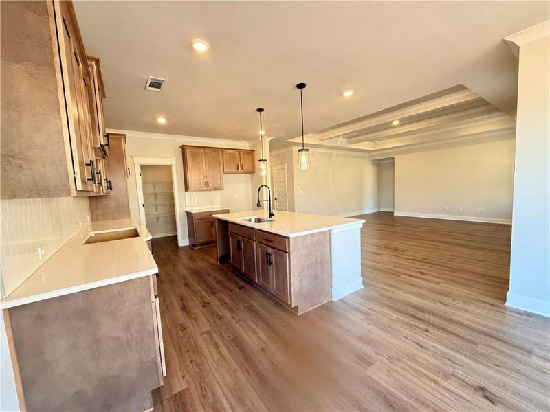 Image 62 of a home in Ponderosa Farms Reserve.