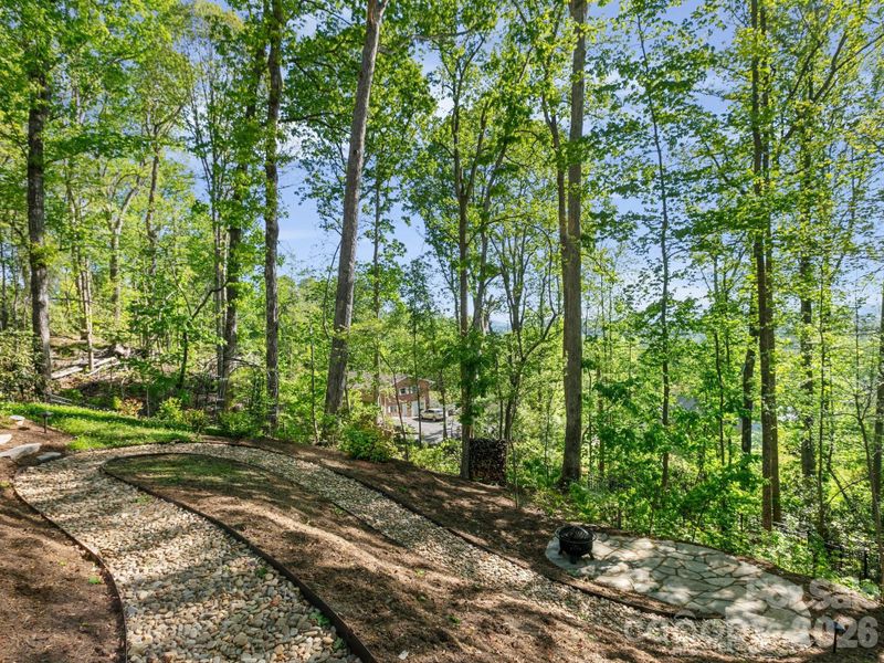 Natural landscape and outdoor views near  in Hendersonville (Image 34).