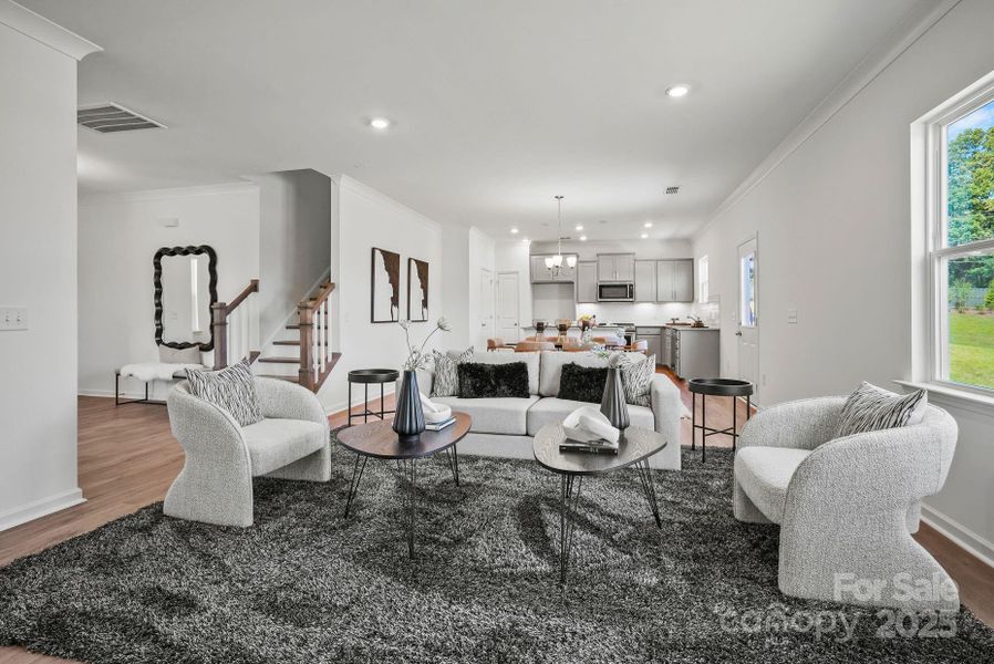 REPRESENTATIVE PHOTO