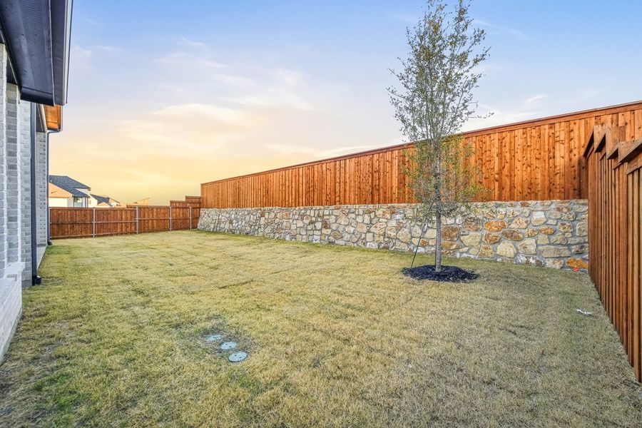 Backyard