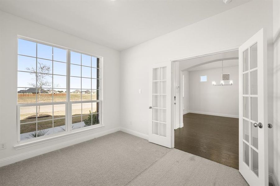 109 Golden Jackal- Study-1