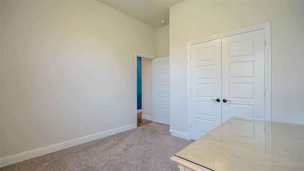 Neutral wall paint and plush carpet flooring