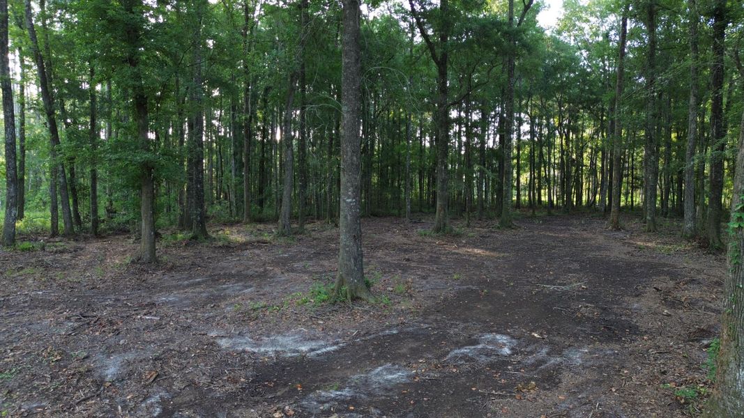 Natural landscape and outdoor views near in Ridgeville (Image 28). Natural landscape and outdoor views near in Ridgeville (Image 28).