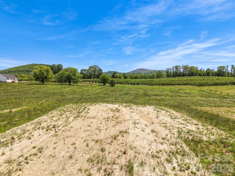Natural landscape and outdoor views near  in Hendersonville (Image 45).