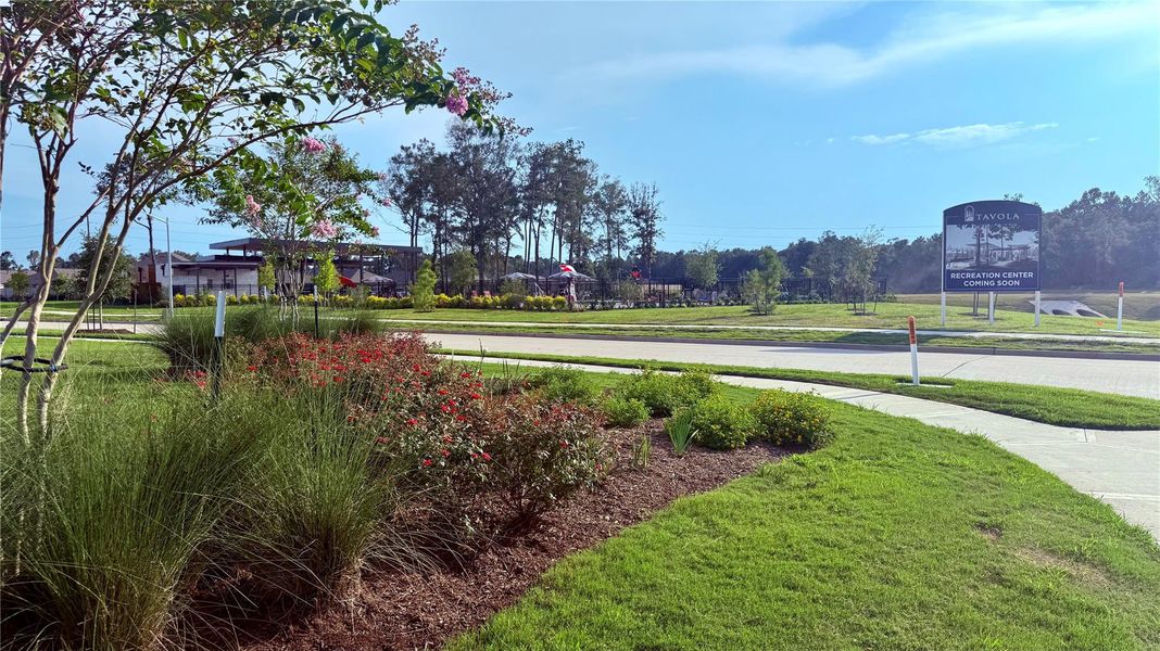 Image 45 of a home in Tavola: Cottage Collection. Image 45 of a home in Tavola: Cottage Collection.