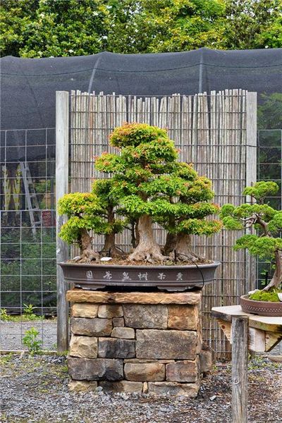 Image 37 of a home in Livingstone Park.