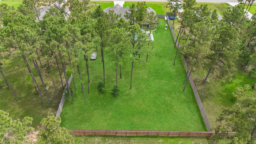 Natural landscape and outdoor views near Deer Pines in Conroe (Image 43).