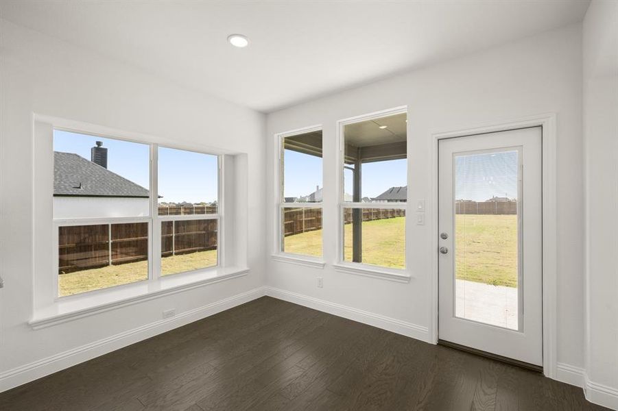 109 Golden Jackal- Nook-1 109 Golden Jackal- Nook-1