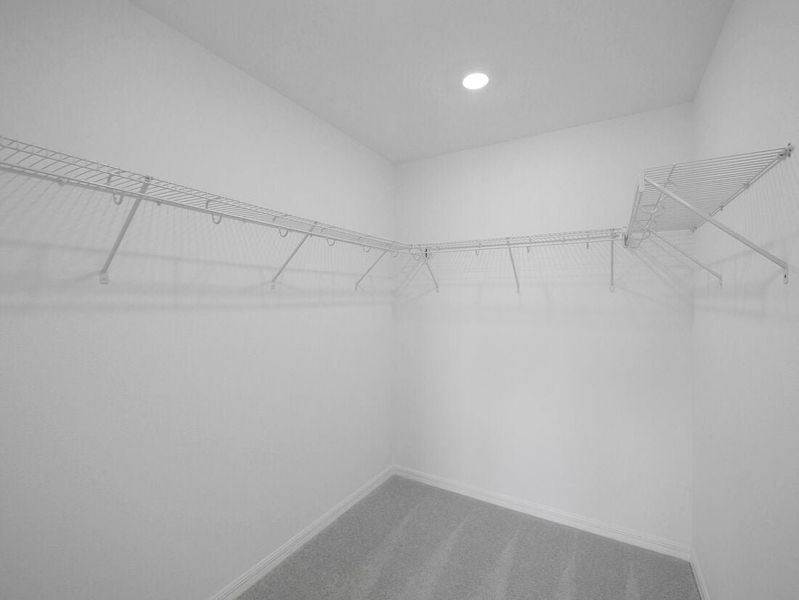 Image 55 representing the Azalea by Taylor Morrison in Palm Wind, Hudson, FL.